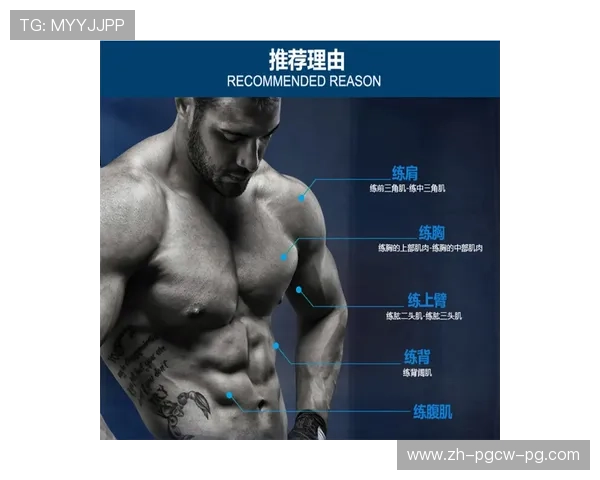 腹肌什么健身器材好用训练器选择指南